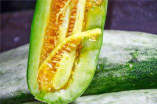 网红娱乐吃瓜,吃瓜群众的热议焦点